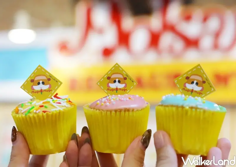 天竺鼠車車限定快閃店 / WalkerLand窩客島提供 未經許可，不得轉載