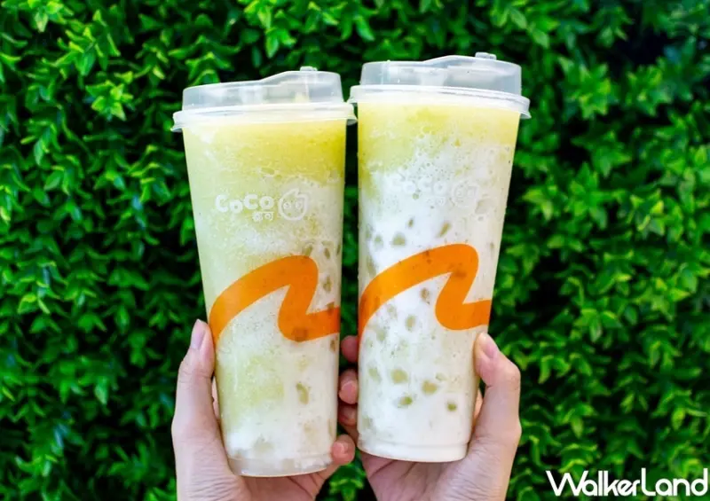 Co 娃讀心術活動 / WalkerLand窩客島整理提供 未經許可，不得轉載