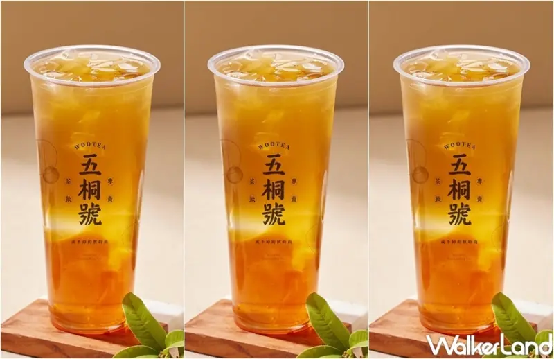 五桐號 新品 / WalkerLand窩客島整理提供 未經許可，不得轉載