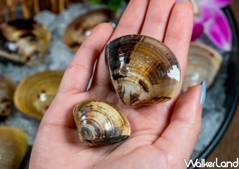 桃園火鍋「問鼎」 / WalkerLand窩客島整理提供 未經許可不可轉載