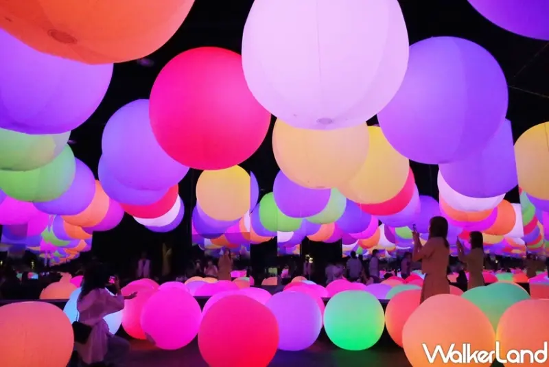 teamLab未來遊樂園&與花共生的動物們 / WalkerLand窩客島提供 未經許可，不得轉載