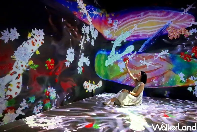 teamLab未來遊樂園&與花共生的動物們 / WalkerLand窩客島提供 未經許可，不得轉載