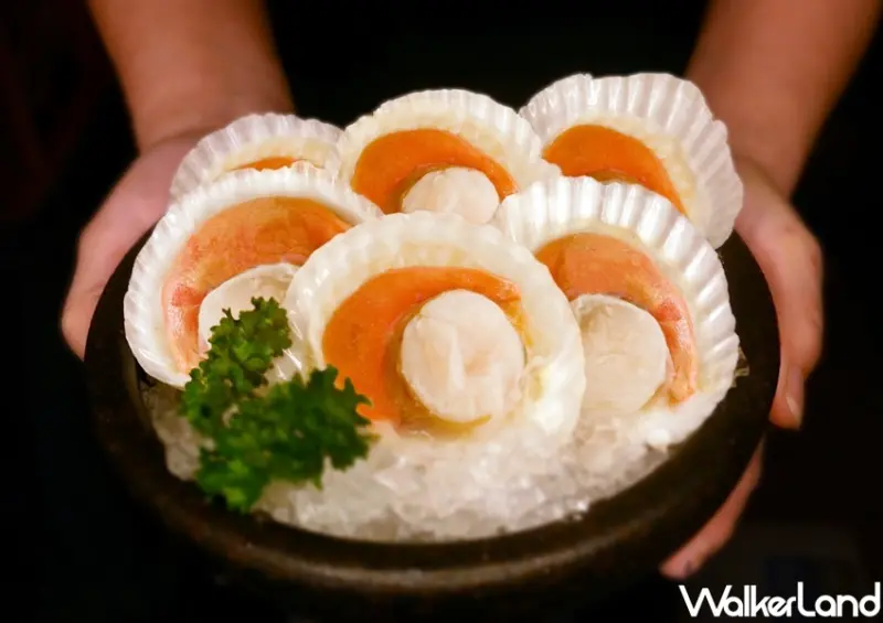 千葉火鍋 五倍券振興優惠 / WalkerLand窩客島整理提供 未經許可，不得轉載