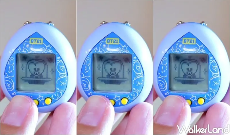 BT21塔麻可吉 / WalkerLand窩客島提供 未經許可，不得轉載