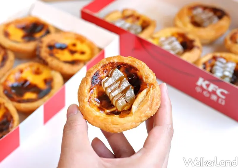 肯德基 黑糖白玉Q蛋撻 / WalkerLand窩客島提供 未經許可，不得轉載