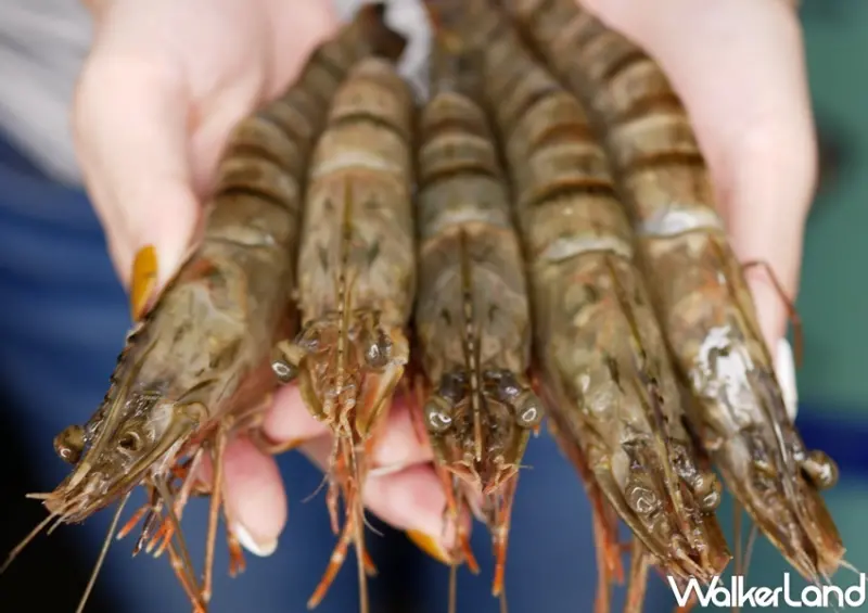 795究極鍋物 / WalkerLand窩客島整理提供 未經許可，不得轉載