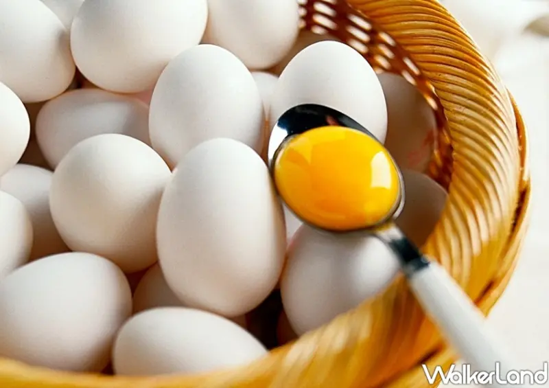 IKEA新品 / WalkerLand窩客島整理提供 未經許可不可轉載