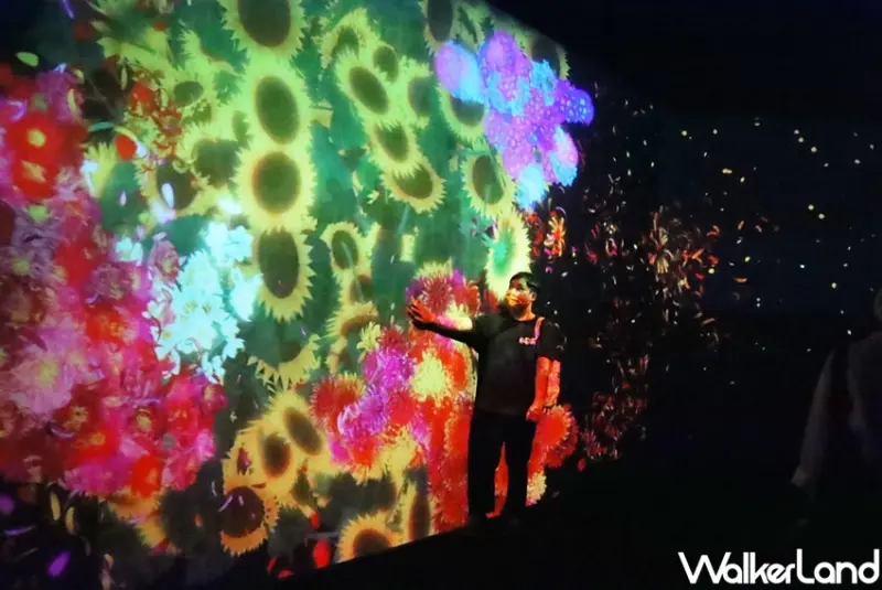 teamLab未來遊樂園&與花共生的動物們 / WalkerLand窩客島提供 未經許可，不得轉載