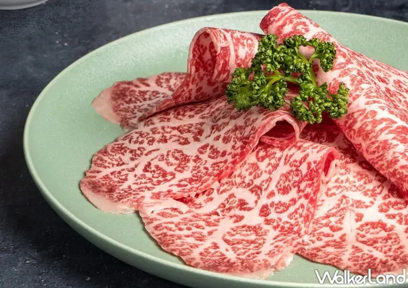 795究極鍋物 / WalkerLand窩客島整理提供 未經許可，不得轉載