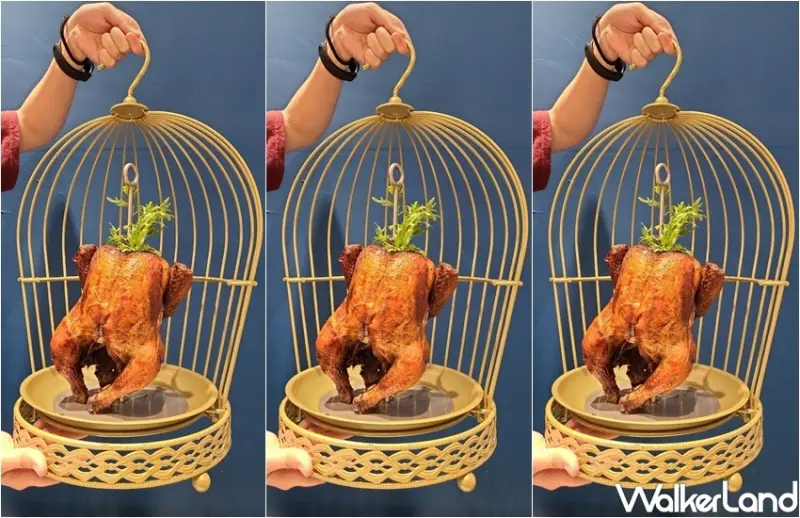 千葉火鍋 五倍券振興優惠 / WalkerLand窩客島整理提供 未經許可，不得轉載