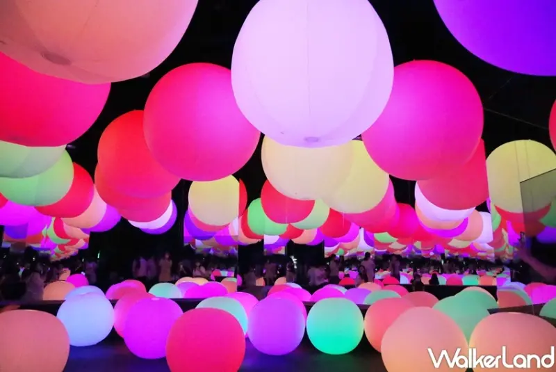 teamLab未來遊樂園&與花共生的動物們 / WalkerLand窩客島提供 未經許可，不得轉載