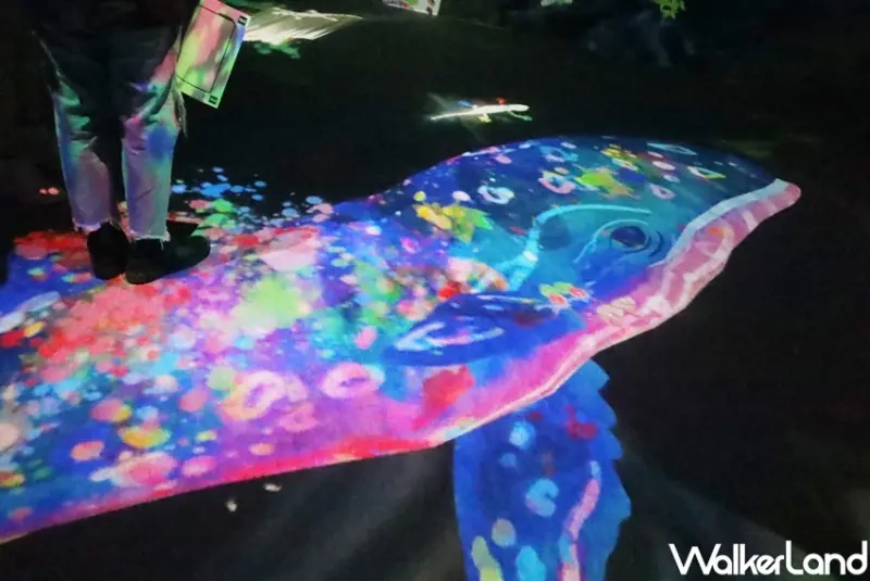 teamLab未來遊樂園&與花共生的動物們 / WalkerLand窩客島提供 未經許可，不得轉載