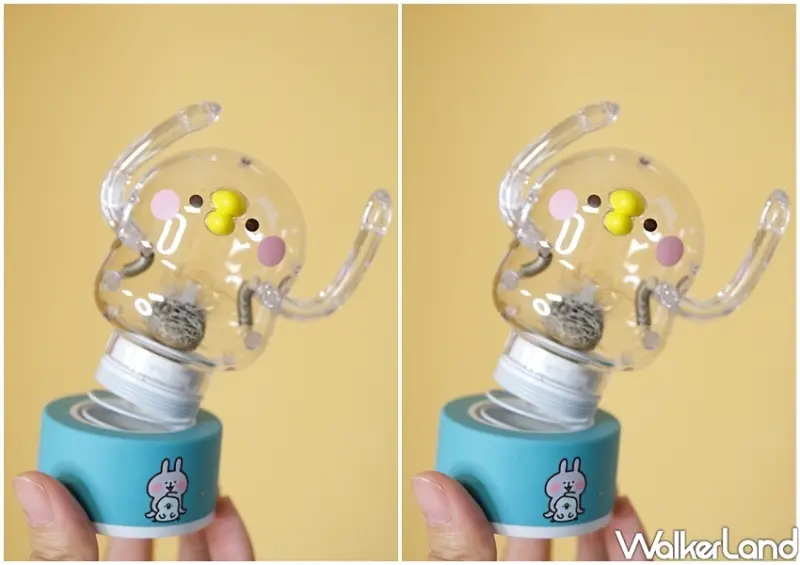 卡娜赫拉的小動物「彈簧P助小植物擺飾」/ WalkerLand窩客島整理提供 未經許可不可轉載