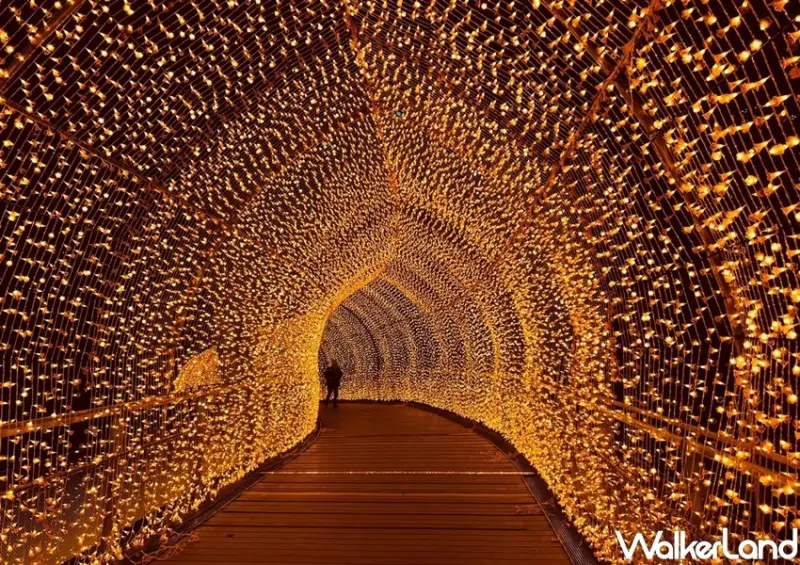 板橋大遠百 Twinkle Park白金樂園 / WalkerLand窩客島整理提供 未經許可，不得轉載