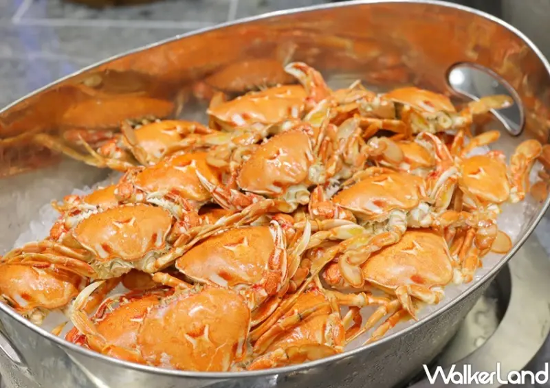 饗食天堂20週年慶活動 / WalkerLand窩客島提供 未經許可，不得轉載