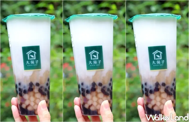 大苑子 金飽飽系列飲品 / WalkerLand窩客島提供 未經許可，不得轉載