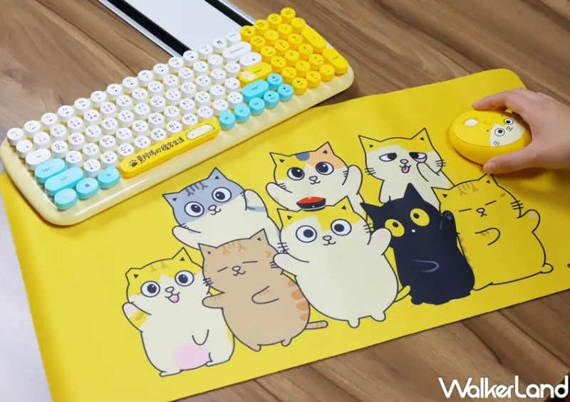 楽玩多黃阿瑪週邊小物 / WalkerLand窩客島整理提供 未經許可，不得轉載