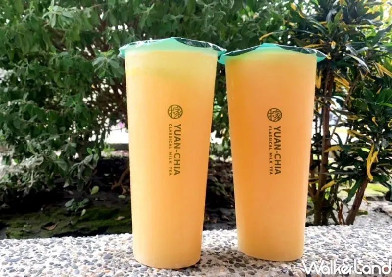 圓稼 八顆柳橙綠 / WalkerLand窩客島整理提供 未經許可，不得轉載