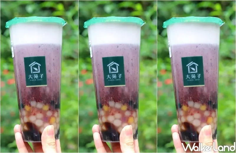 大苑子 金飽飽系列飲品 / WalkerLand窩客島提供 未經許可，不得轉載