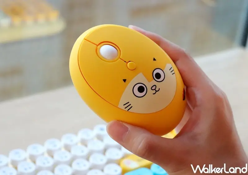 楽玩多黃阿瑪週邊小物 / WalkerLand窩客島整理提供 未經許可，不得轉載