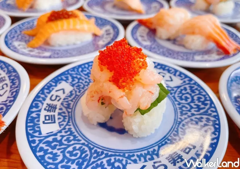 藏壽司 甜蝦珍鮭祭 / WalkerLand窩客島整理提供 未經許可，不得轉載