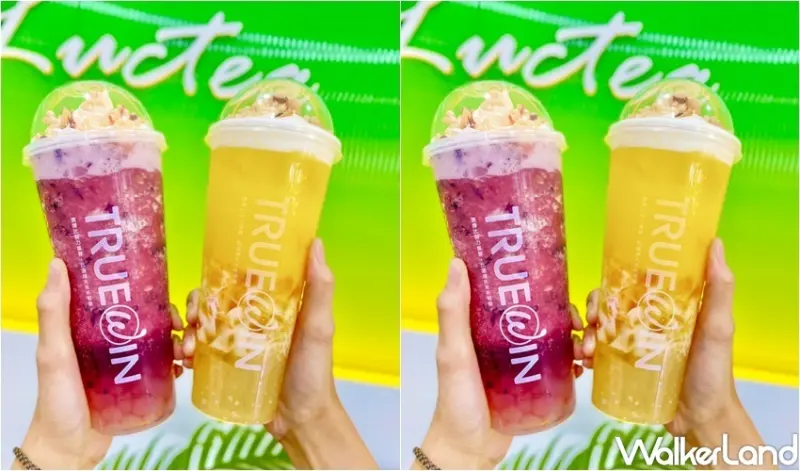 初韻TrueWin 雙11限定優惠 / WalkerLand窩客島整理提供 未經許可，不得轉載