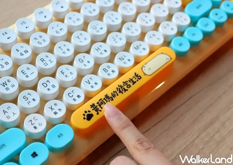 楽玩多黃阿瑪週邊小物 / WalkerLand窩客島整理提供 未經許可，不得轉載