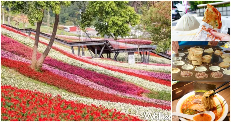 提前三個月開花了！最強日系花海地毯「北投社三層崎公園」16萬盆花草擴大規模登場，北投人都愛「7間北投美食」加碼推薦。