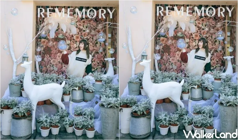 心之芳庭 奇幻白色聖誕莊園 / WalkerLand窩客島整理提供 未經許可，不得轉載