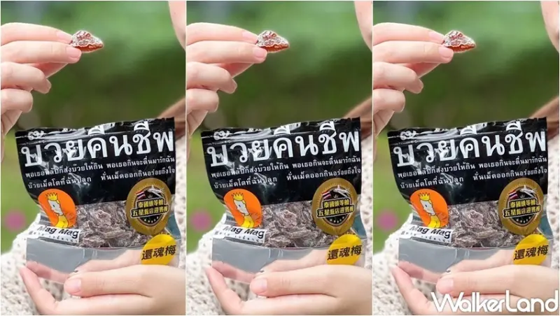 Mag Mag「還魂梅」 秋季限定三大活動 / WalkerLand窩客島整理提供 未經許可，不得轉載