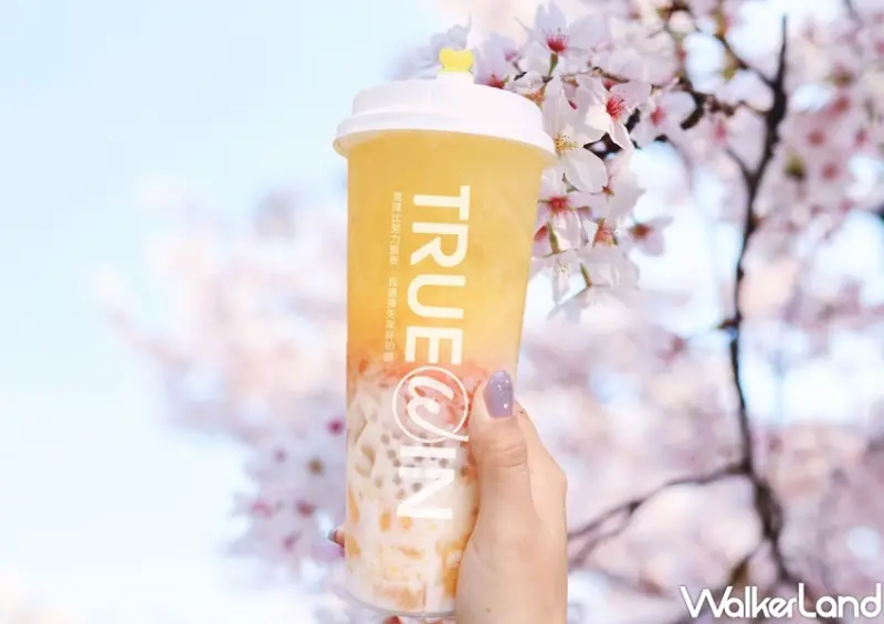 初韻TrueWin 熱楊枝甘露 / WalkerLand窩客島整理提供 未經許可，不得轉載