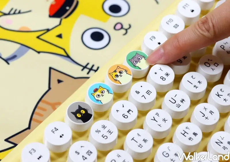 楽玩多黃阿瑪週邊小物 / WalkerLand窩客島整理提供 未經許可，不得轉載