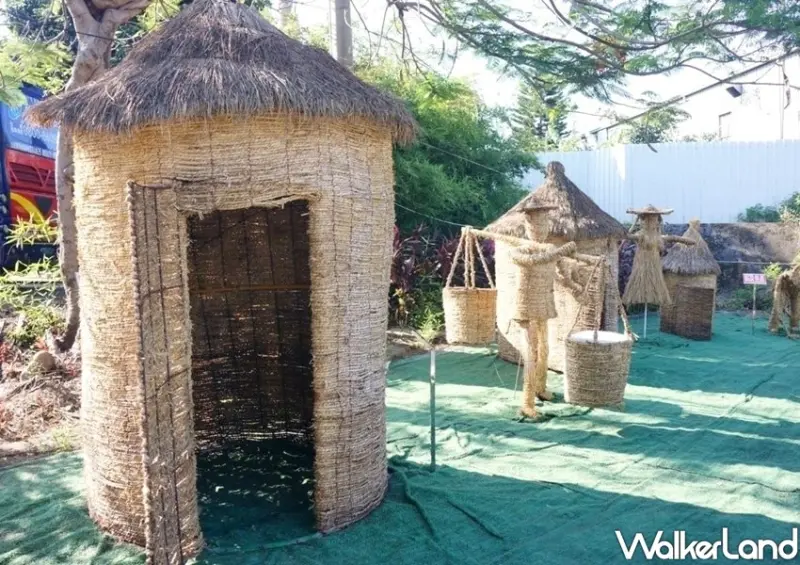 泰山楓樹河濱公園「紫色蒜香藤」 / WalkerLand窩客島整理提供 未經許可不可轉載