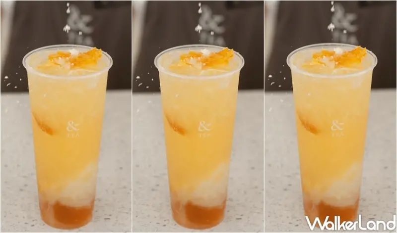 &TEA 雙11優惠 / WalkerLand窩客島整理提供 未經許可，不得轉載