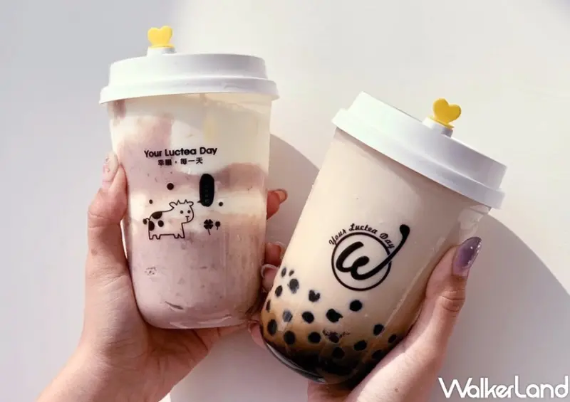 初韻TrueWin 雙11限定優惠 / WalkerLand窩客島整理提供 未經許可，不得轉載