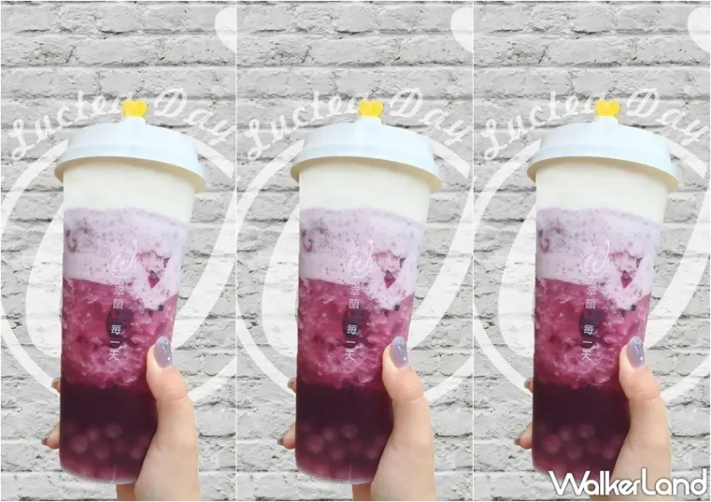 初韻TrueWin 雙11限定優惠 / WalkerLand窩客島整理提供 未經許可，不得轉載