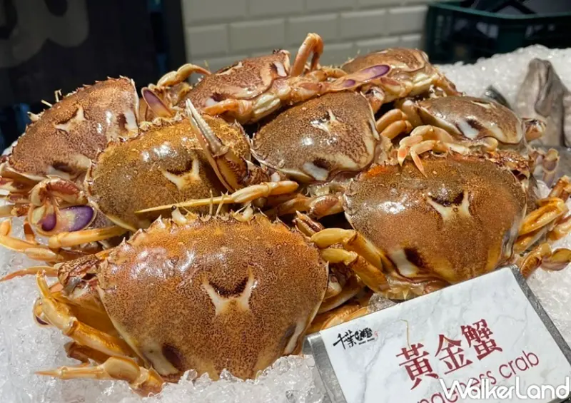 千葉火鍋 11月優惠 / WalkerLand窩客島整理提供 未經許可，不得轉載