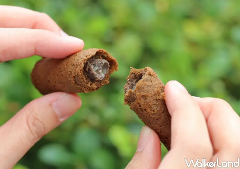 青鳥旅行X春水堂「青揚春盛 聯名蛋捲禮盒」 / WalkerLand窩客島提供 未經許可，不得轉載