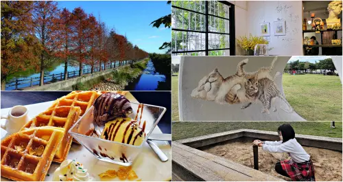 年底散心首選到桃園八德準沒錯！絕美落羽松、阿嬤級家常菜、親子放電必訪，還有追劇場景全收錄。