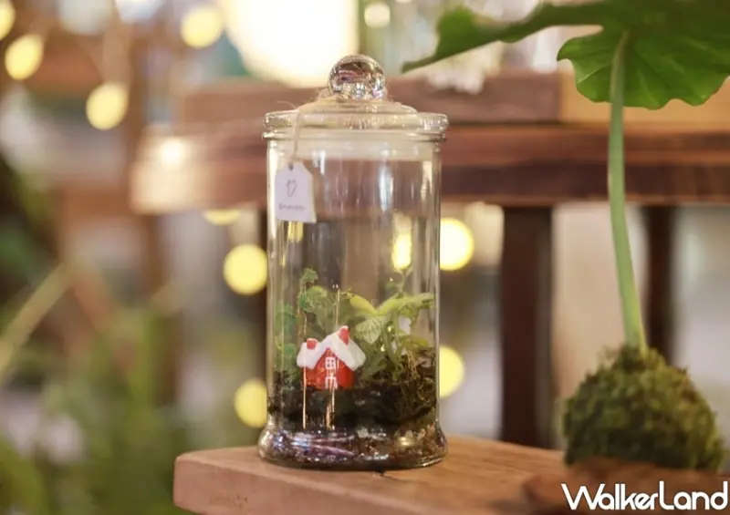 信義區耶誕市集「木柵小茶館」 / WalkerLand窩客島整理提供 未經許可不可轉載