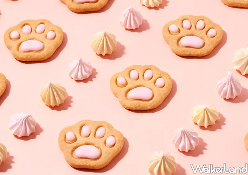 赤峰街 koti koti / WalkerLand窩客島整理提供 未經許可不可轉載