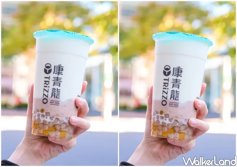 康青龍、卡娜赫拉的小動物/ WalkerLand窩客島整理提供 未經許可不可轉載