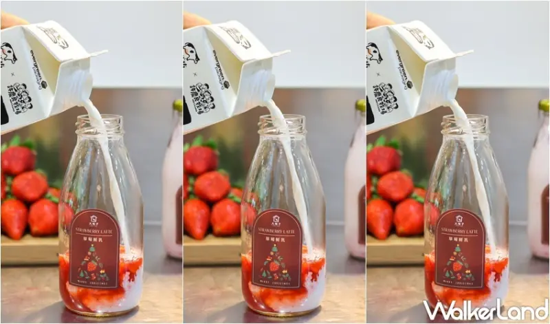 大苑子 草莓新品、奶酪飲品新品 / WalkerLand窩客島提供 未經許可，不得轉載