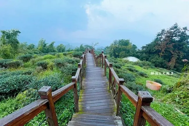  嘉義必拍茶園景觀步道 #太興岩步道/ WalkerLand窩客島整理提供 未經許可不可轉載
