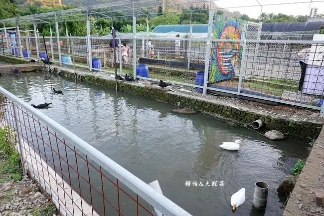 花鹿秘境-李家摸蜆農場/美食窩客 靜怡提供，未經許可，不得轉載。