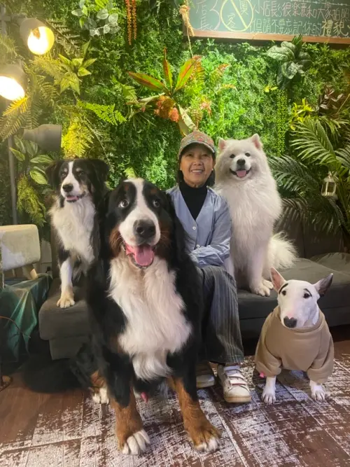 中壢寵物餐廳-食.光機-幫牛妹歡渡周歲生日，大快朵頤吃套餐