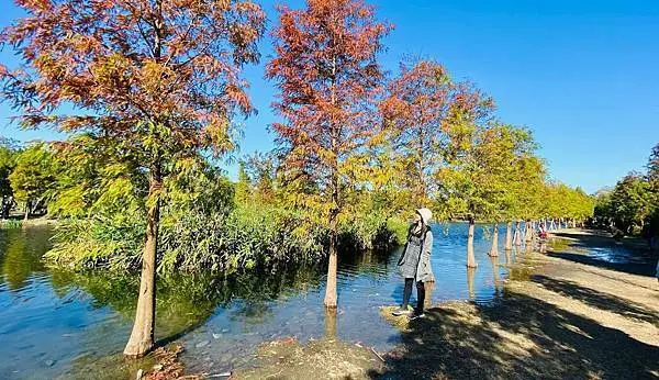 月眉濕地生態園區/美食窩客 大海愛上藍天 提供，未經許可不得轉載。