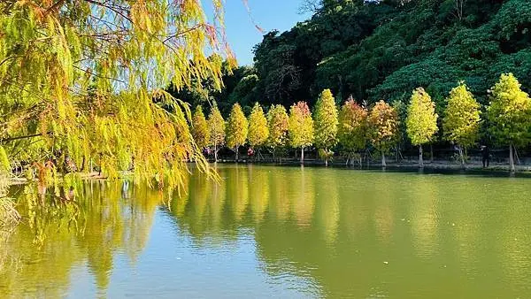 月眉濕地生態園區/美食窩客 大海愛上藍天 提供，未經許可不得轉載。