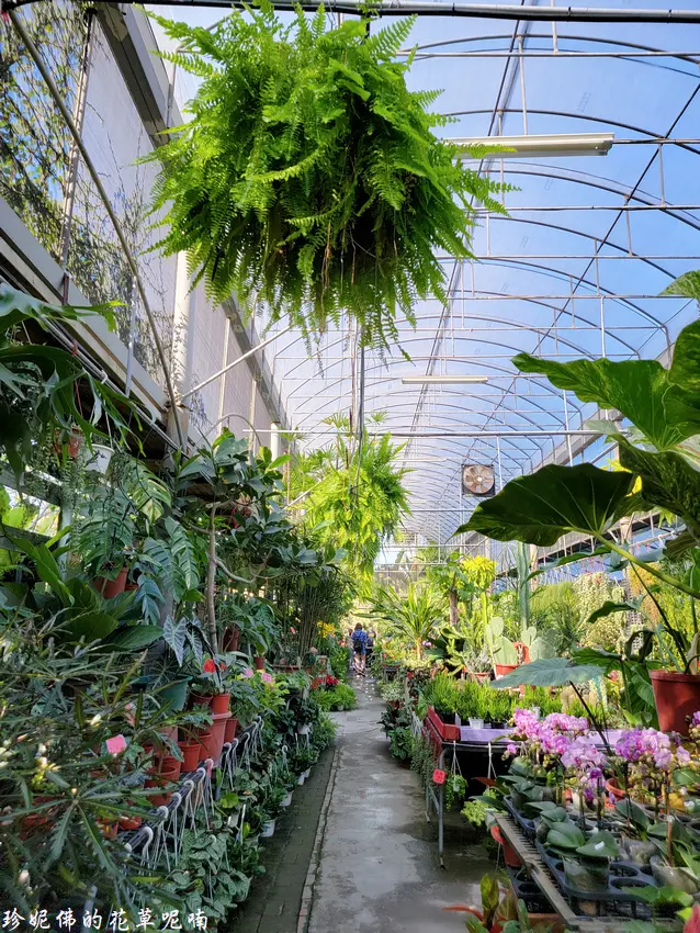 ▲彰化田尾公路花園必訪推薦：合利園藝 /珍妮佛的花草呢喃 提供、WalkerLand窩客島整理