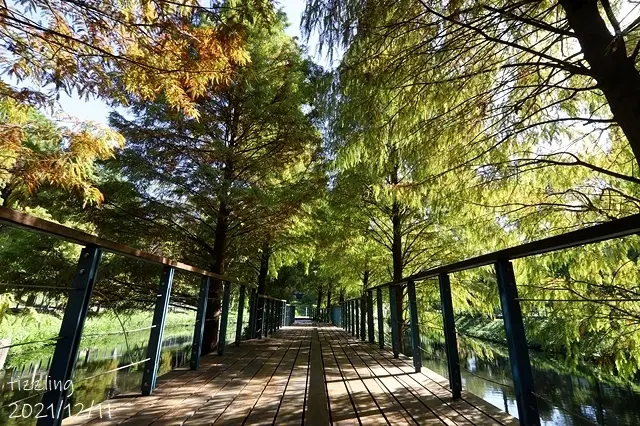 長庚養生文化村/美食窩客 楊子陵 提供，未經許可不得轉載。